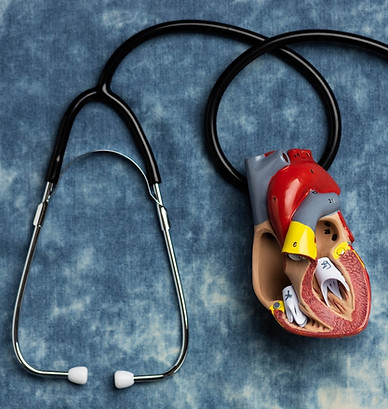 view-anatomic-heart-model-educational-purpose-with-stethoscope_23-2149894471_jpg_t=st=1728